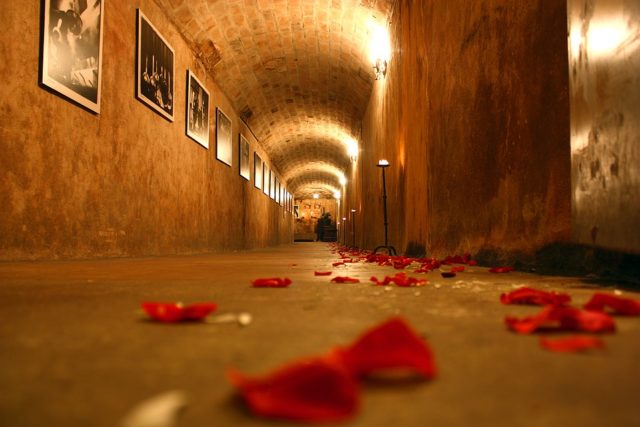 #DomenicaalMuseo