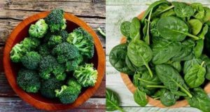 alimenti vegetali che contengono più ferro della carne