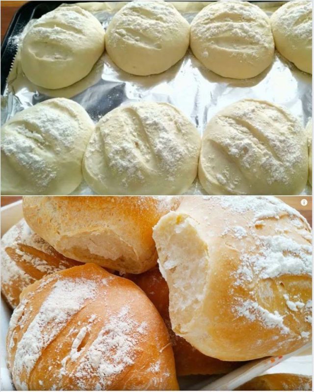 panini