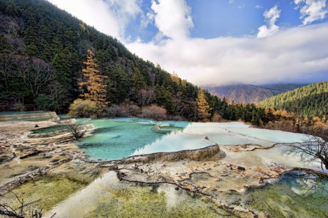 piscine naturali