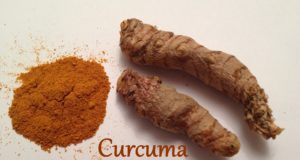 curcuma