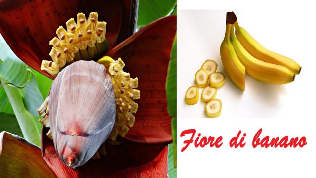 fiore di banano
