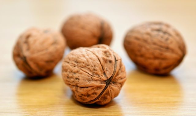 cibi che somigliano agli organi che curano