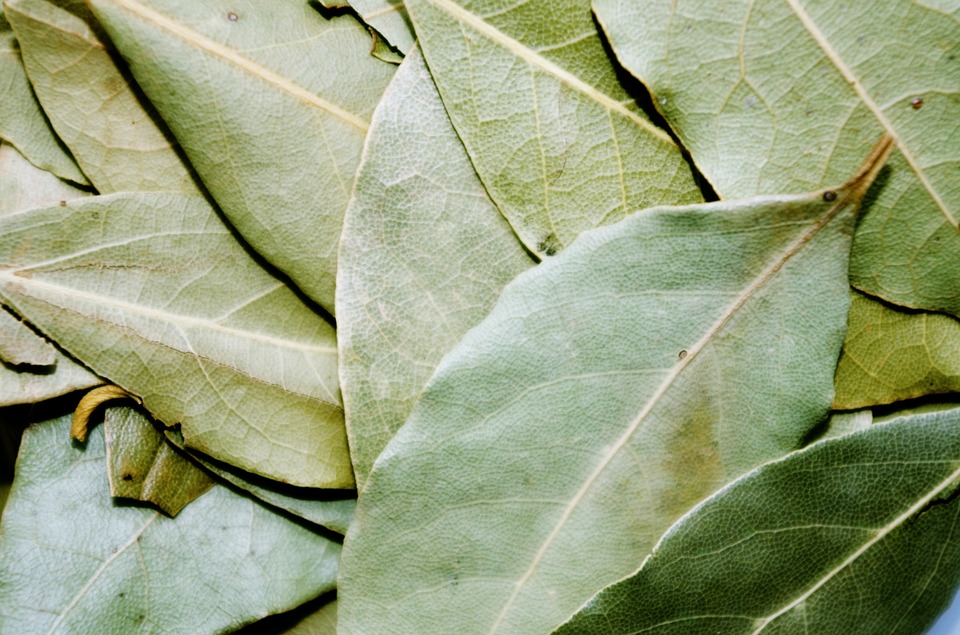 Cura di eczema varicosity posizione