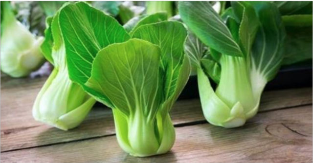 fonti vegetali di calcio
