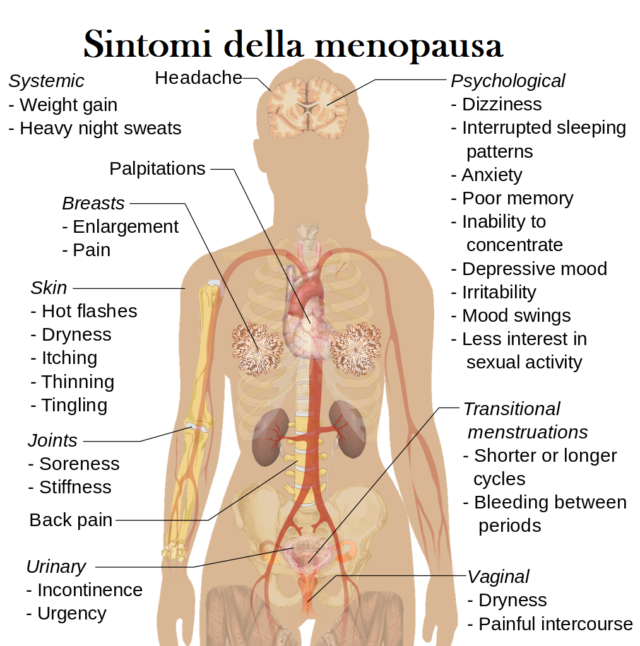 menopausa