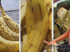banana bollita con la cannella