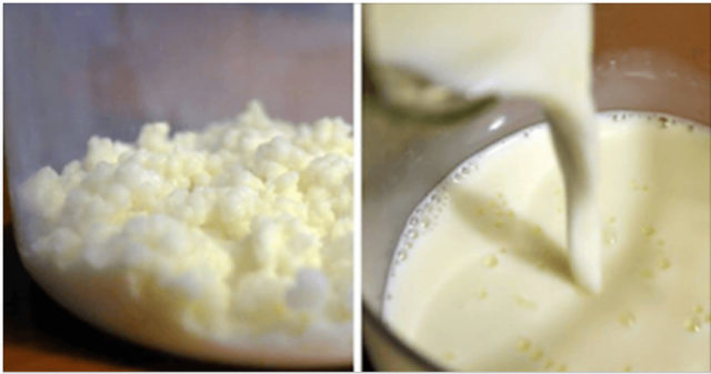 kefir