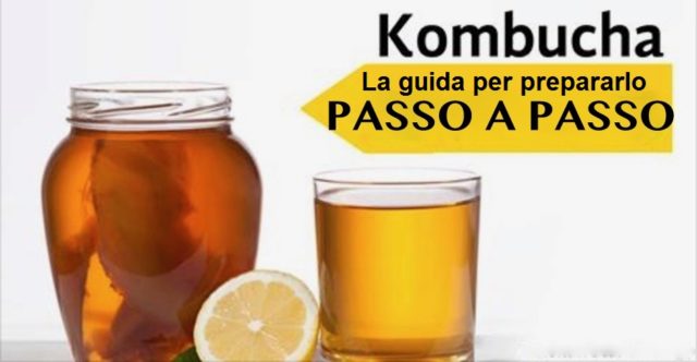 KOMBUCHA