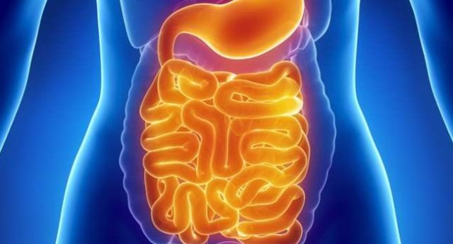 muco nell'intestino
