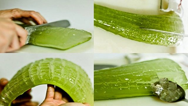 rimedi naturali a base di aloe