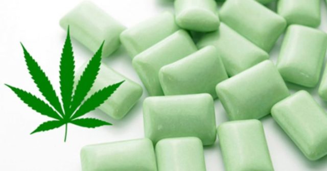 gomma da masticare alla cannabis