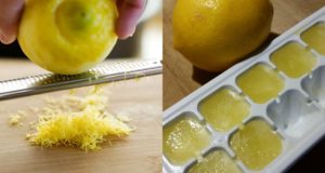 congela i tuoi limoni