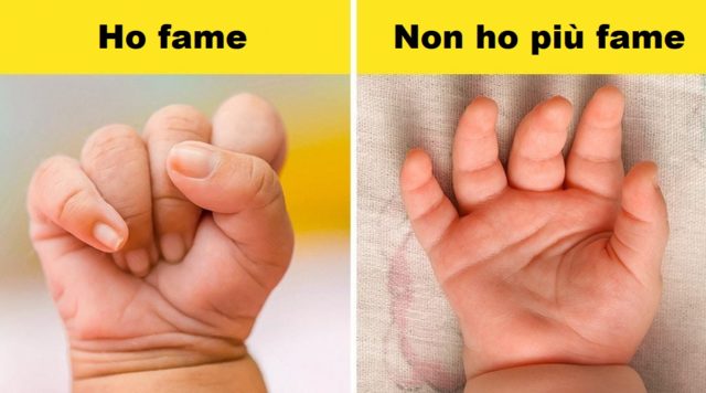 tuo bambino