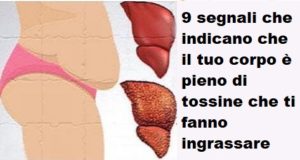 9 segnali che indicano che il tuo corpo è pieno di tossine che ti fanno ingrassare